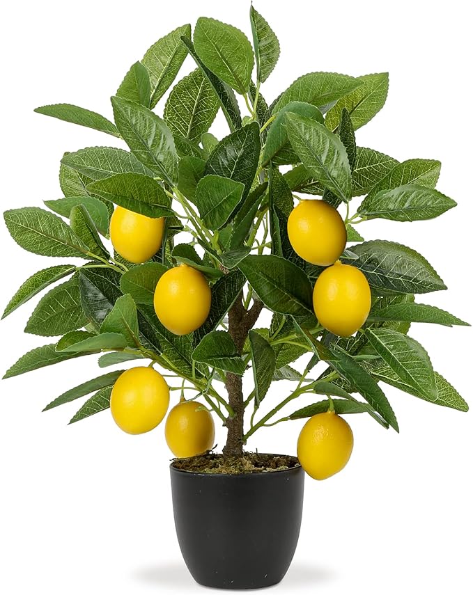 Lemon tree